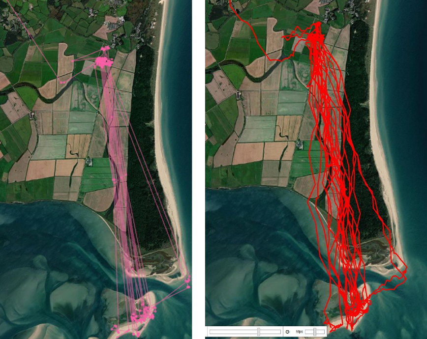 Satellite map with observed animal tracks and generated random walk trajectories